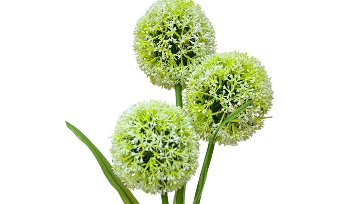 სოლარ განათება - ბაბუაწვერა, თბილი ნათებით; 38 სმ
